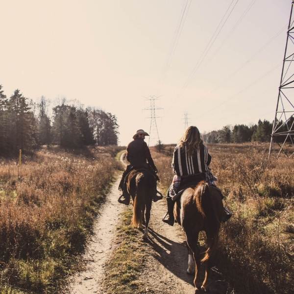 Organizzare un trekking a cavallo richiede competenza, la nostra! 