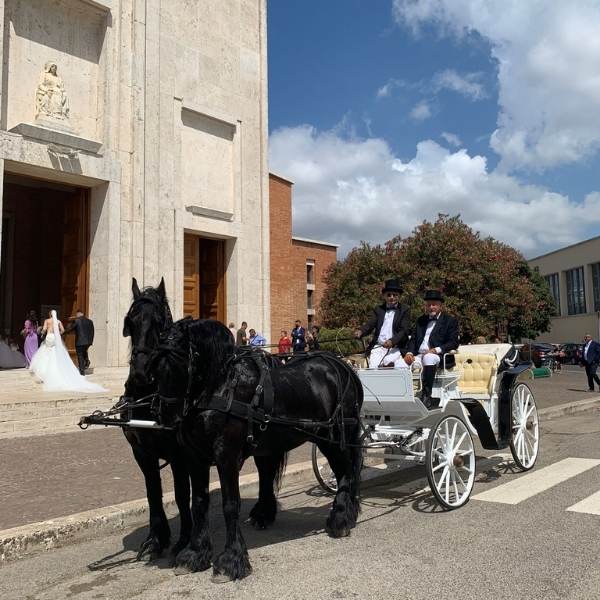 Un tocco di magia al tuo matrimonio