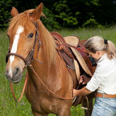 Sellare un cavallo